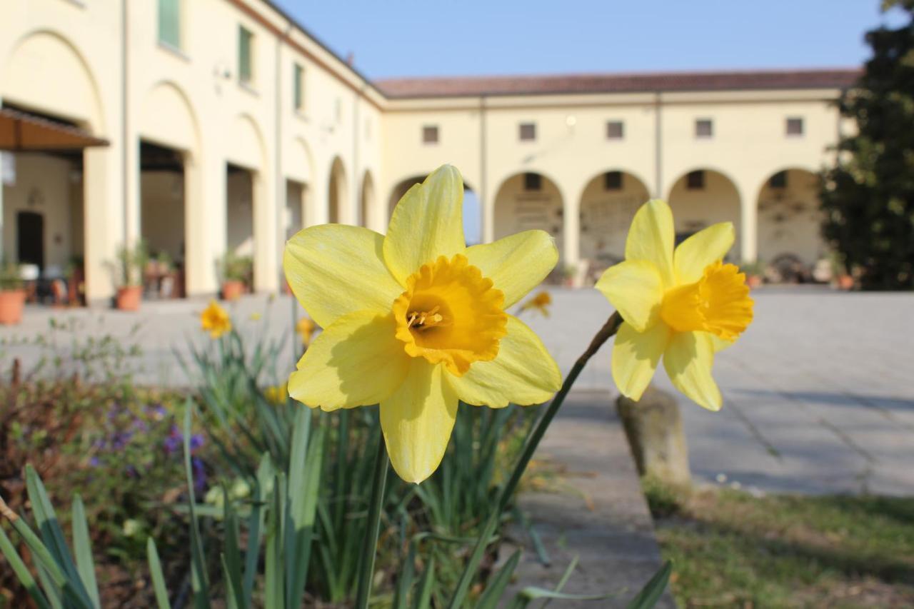 San Martino di Venezze Agriturismo Corte Carezzabella מראה חיצוני תמונה